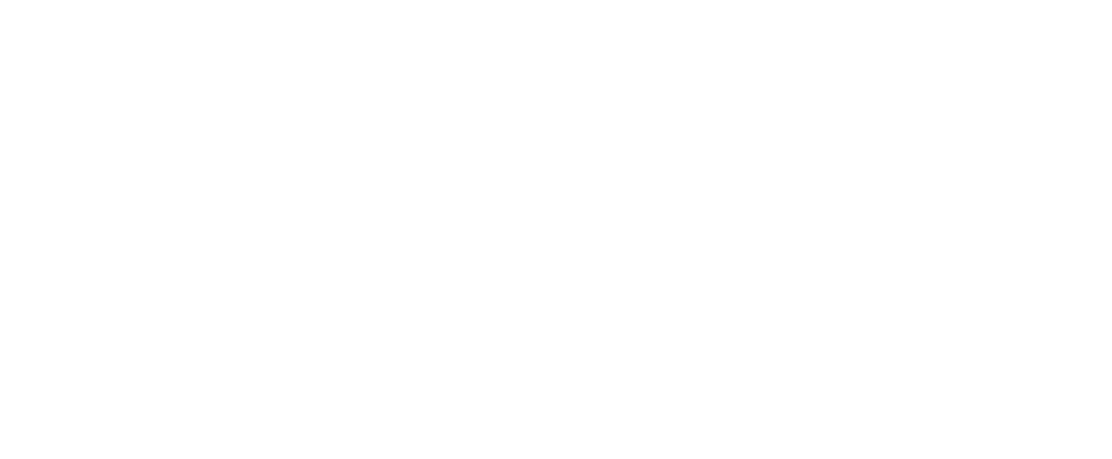 NieuweStroom Logo